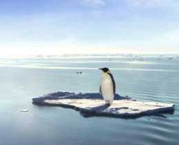 Image of a sole penguin standing on a small iceberg, surrounded by sea
